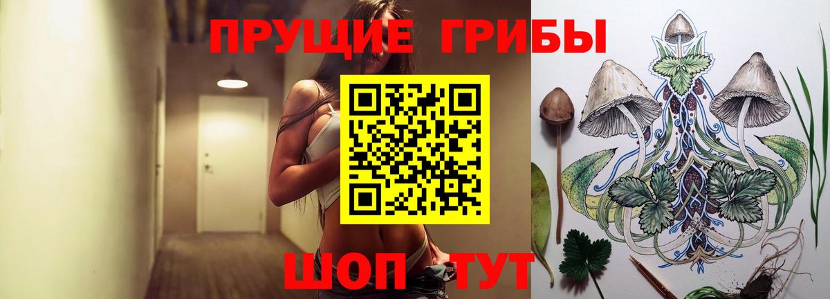 Галлюциногенные грибы MAGIC MUSHROOMS  Вход с VPN  Сертолово 