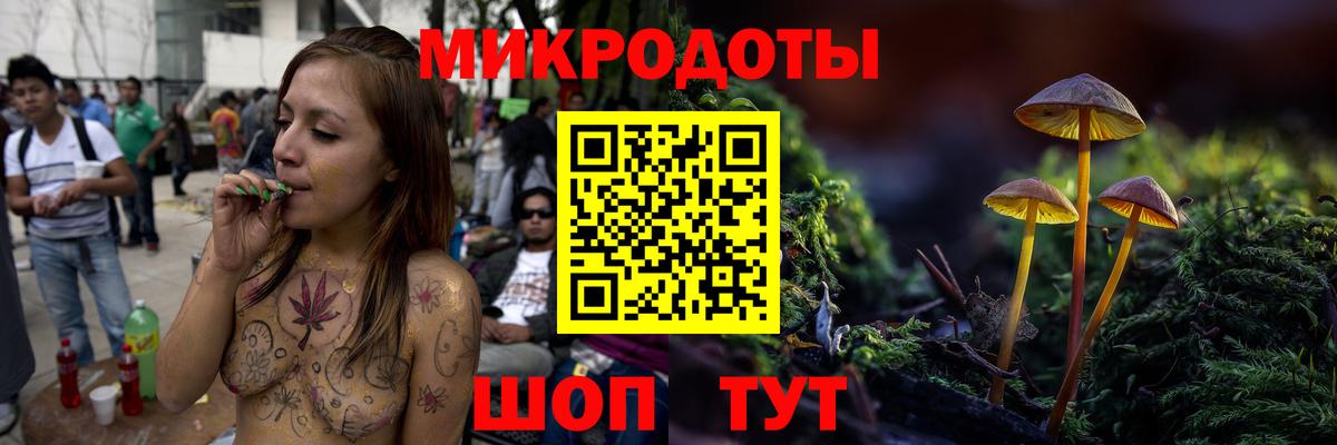 Псилоцибиновые грибы мицелий Сертолово
